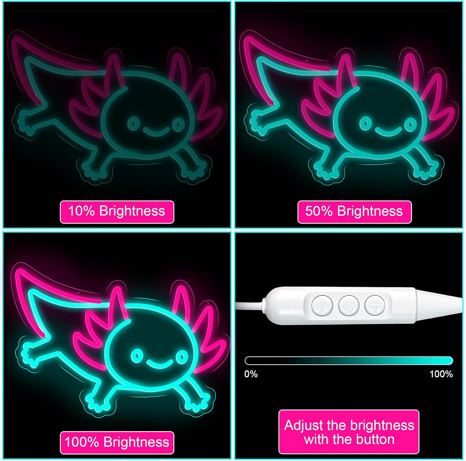 Axolotl Drachen Neonschild Dim – Desk Setup Studio Bewertung und Preis