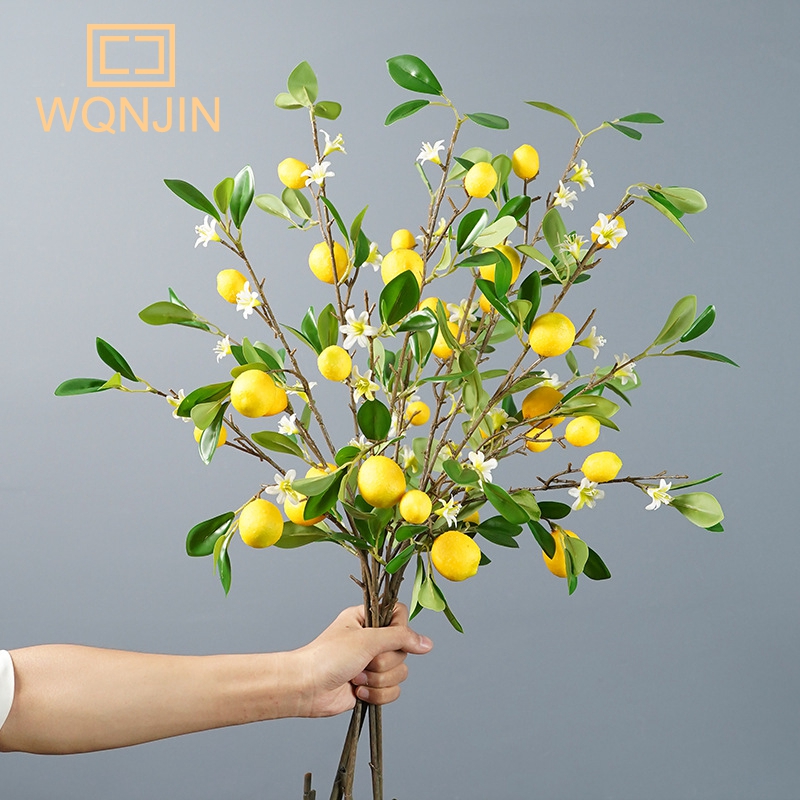Zitronen zweige mit Frucht sim – Desk Setup Photo Bewertung und Preis