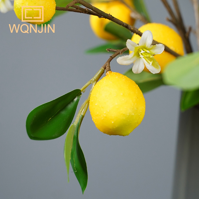 Zitronen zweige mit Frucht sim – Desk Setup Photo Bewertung und Preis